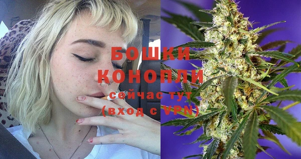 шишки Балабаново