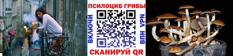 Псилоцибиновые грибы мицелий Ельня
